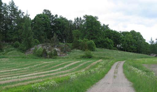 129. Kallioketo, pellon ja metsän reunavyöhyke Kuvaus: Puutarhaan rajoittuva lämmin kallioinen rinne, jossa on myös paljon maakiviä.