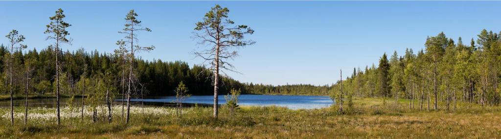 Vastuullisuuspäällikkö Joanna Kuntonen-van t Riet YLLÄTTÄVÄT YRITYSVASTUUT -