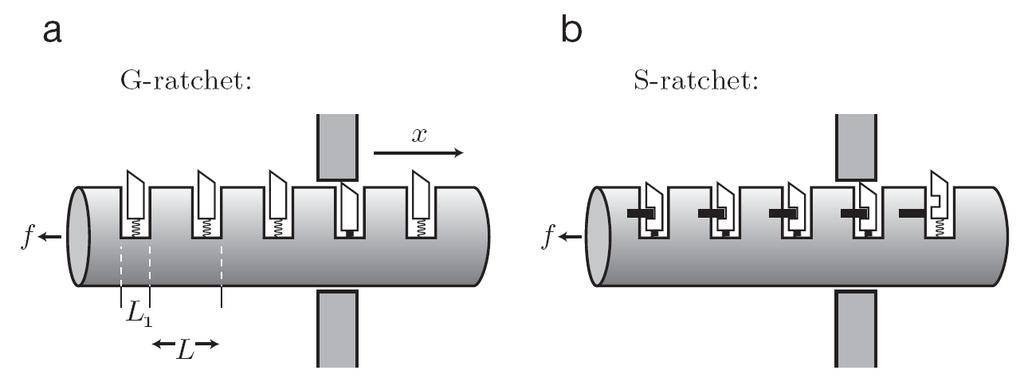 Molekulaaristen moottoreiden perusteita 31 Molekulaariset moottorit Toimivat satunnaiskävelymekanismilla