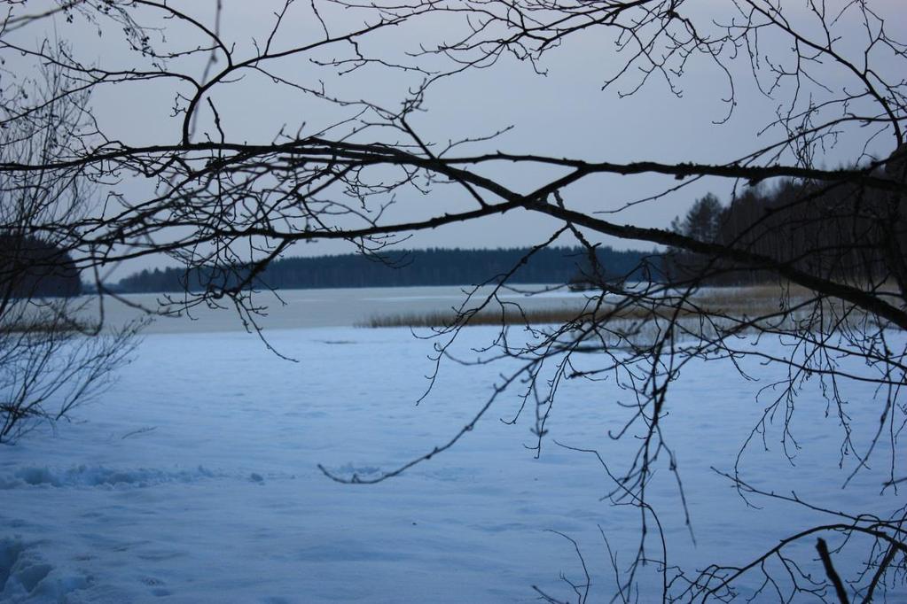 29 A -tapaaminen Alussa