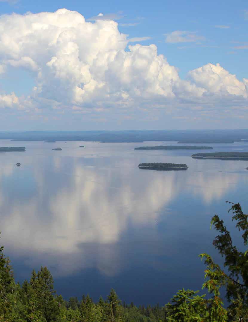 Valtavasti rantoja ja vettä, itäisiä rajaseutuja, tyhjeneviä taajamia ja paljon kasvavia kaupunkeja. Siltä näyttää Kuopion yliopistollisen sairaalan erityisvastuualue.