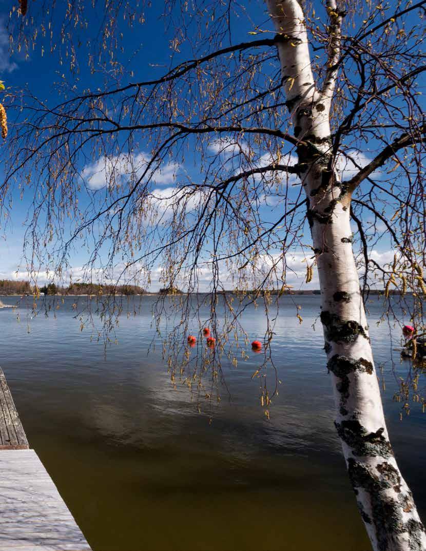 VERKOSTO VALMISTUU Olemme jo saaneet yhteydenottoja apteekeista, ja yhteistyöverkosto on yhteissuunnittelua ja -ideointia vaille valmis! KESKI-SUOMEN maakunta on KYS:n erva-alueen maakunnista suurin.
