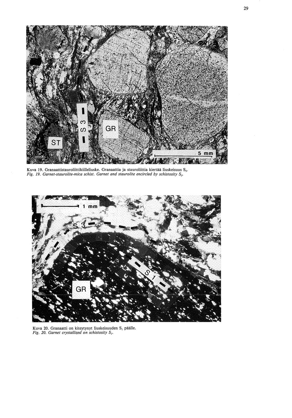 Kuva 19. Granaattistauroiiittikiilleliuske. Granaattia ja stauroliittia kiertää liuskeisuus S,. Fig. 19. Garnet-staurolite-mica schist.