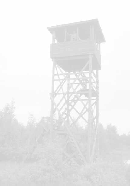Haapaveden Ainali Vuonna 1986 rakennettu lintutorni on korkeudeltaan 7,6 metriä, se on yksitasoinen ja katettu ja siihen mahtuu noin 3 4 henkeä.
