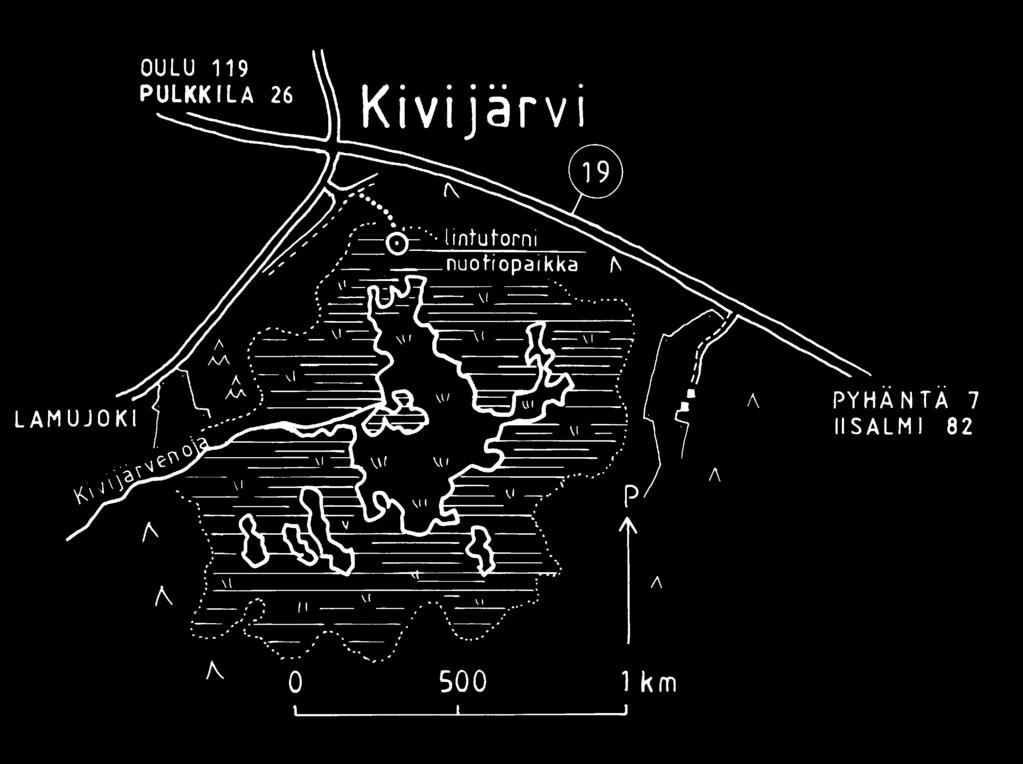 Arvokkaimmat pesivät vesilintulajit ovat joutsen, silkkiuikku ja mustakurkku-uikku, lapasorsa ja heinätavi. Öisin järvellä voi kuulla jänkäkurpan soidinkopsutusta.