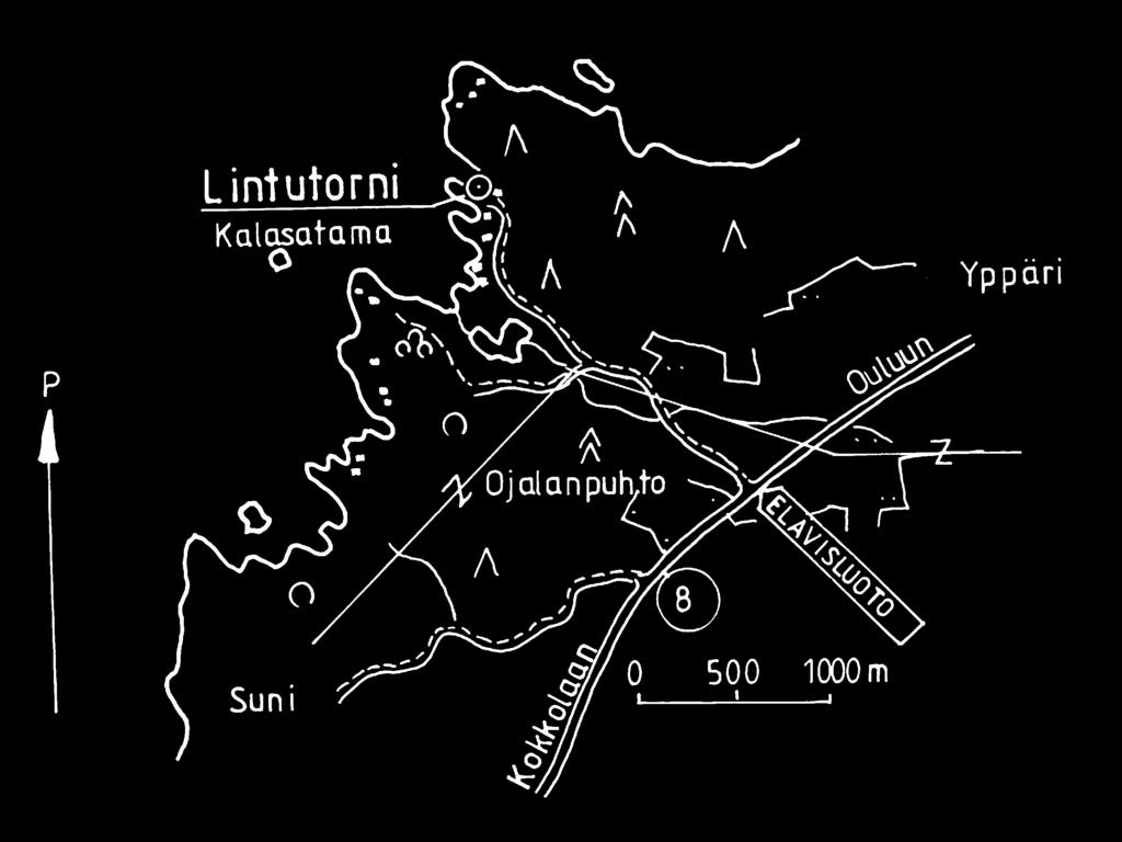 Pyhäjoen Elävisluoto Elävisluodon 4 metriä korkeaan katettuun yksitasoiseen torniin mahtuu kerrallaan 1 2 henkeä. Elävisluoto on ulkomerelle työntyvä niemi Pyhäjoen eteläosissa.