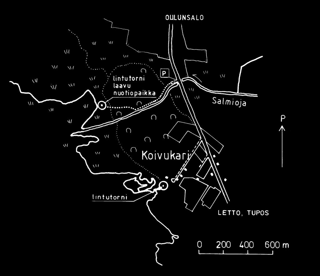 Pesimälinnuista mainittavimpia ovat mm. silkkiuikku, heinätavi, harmaasorsa ja nokikana. Loppukeväällä ja alkusyksyllä pääskyt ja tervapääskyt parveilevat alueen ruovikoiden yläpuolella.