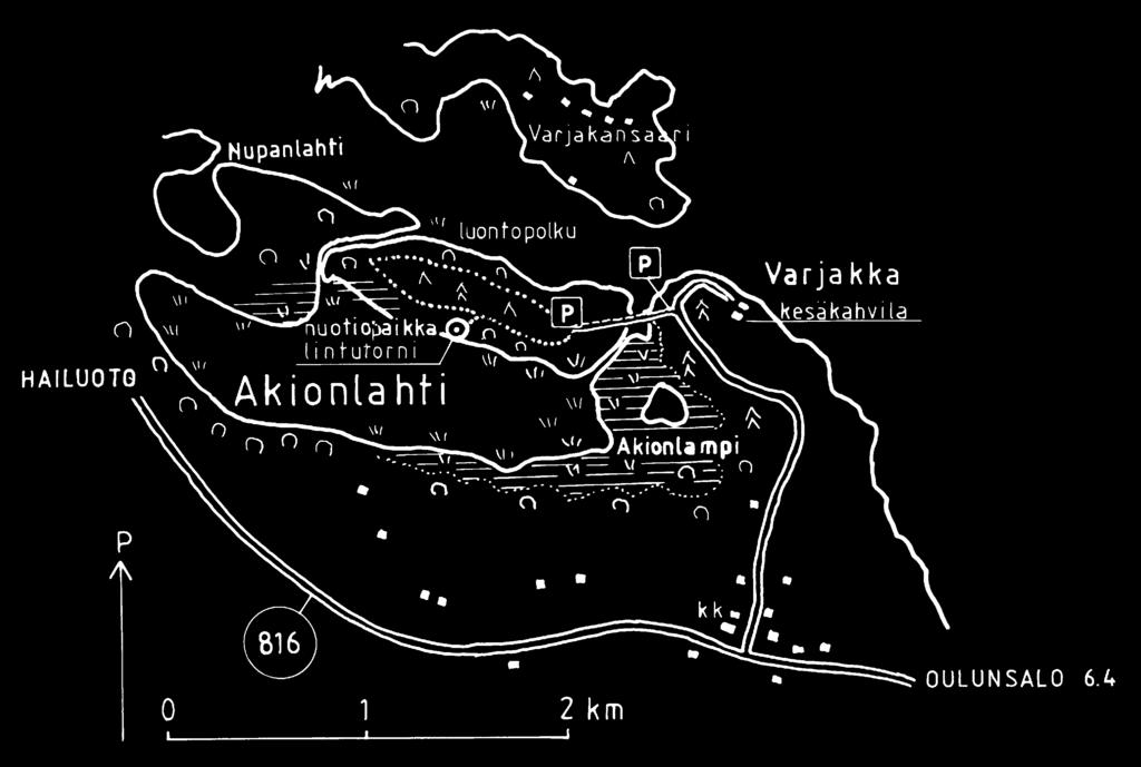 Linnuston perusteella Akionlahti on kansainvälisesti arvokas lintuvesi, jolla lintuharrastajalle riittää katsottavaa huhtikuusta loka-marraskuulle asti.