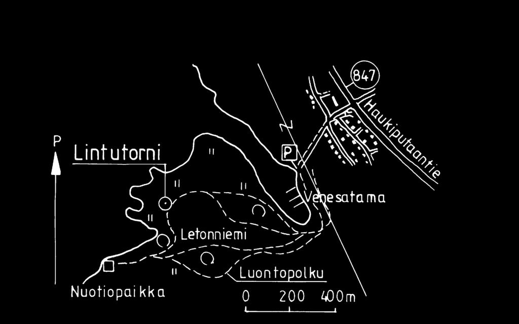 Lavaa ympäröivät ruovikko ja pajupensaat ja rannan puolella kasvaa rehevää lehtimetsää.