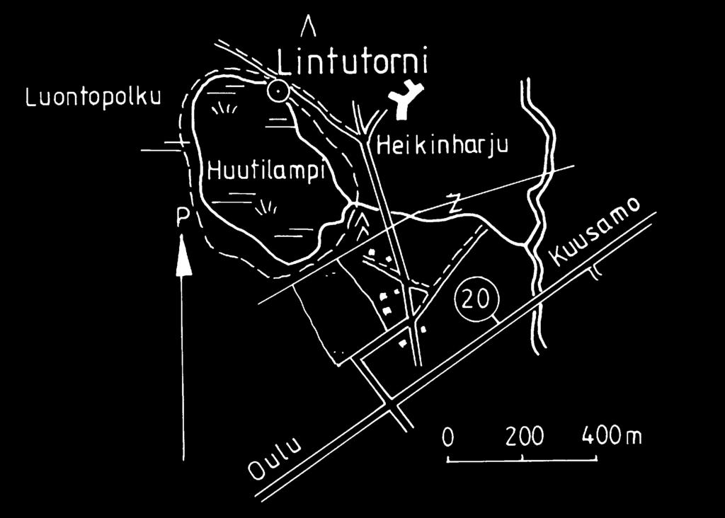 Rantaniityllä varoittelee isokuovi ja soidintaa suokukko. Rannalla laulaa pajusirkkuja.