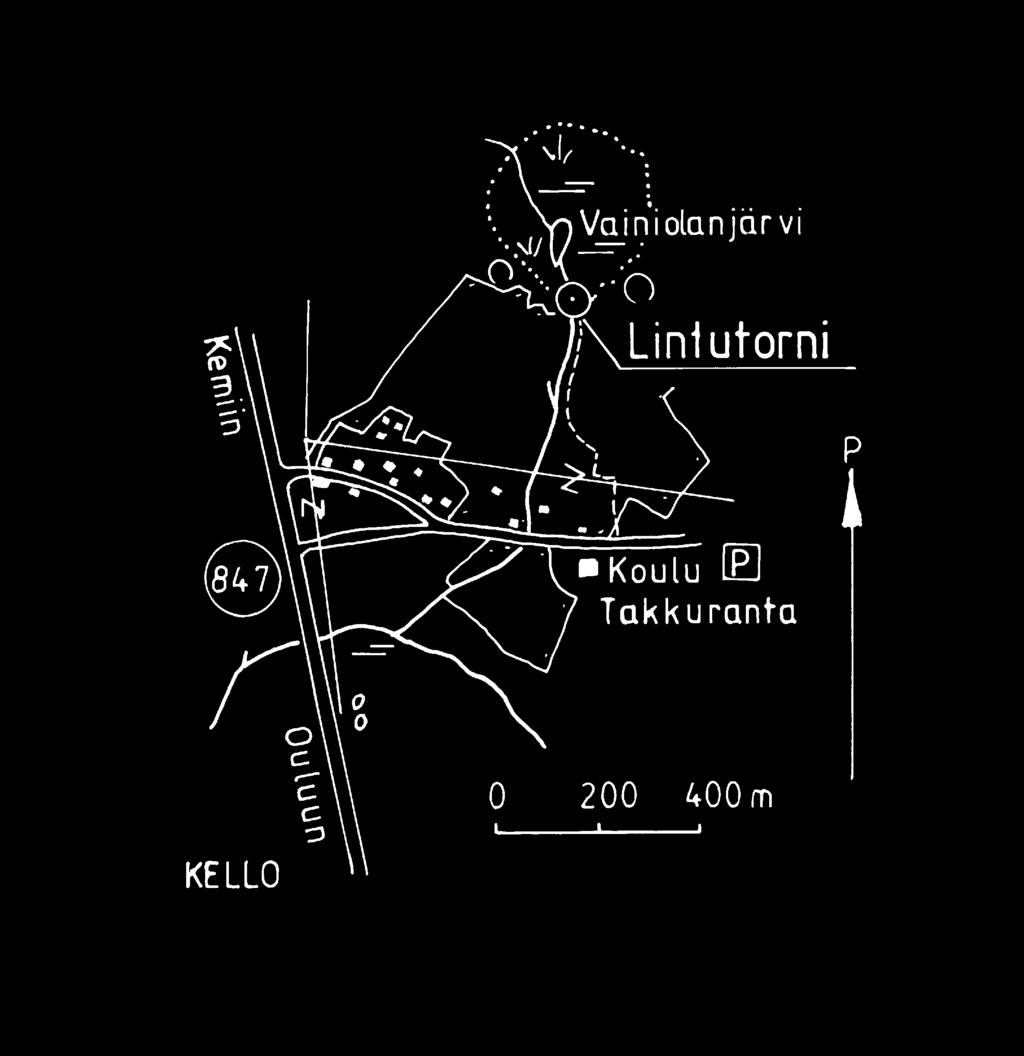 Sarvipöllö pesi Vainiolanjärven lähettyvillä kesällä 1996 ja viitasirkkalintu lauloi vuonna 1998. Pekka Rahko Käänny vanhalta nelostieltä Takkurannan kylätielle.
