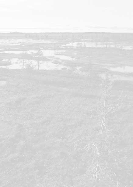 Ylikiimingin Hirvisuo Hirvisuon torni on jykevä, yksitasoinen ja 4,7 metrin korkuinen. Se on rakennettu vuonna 1993.