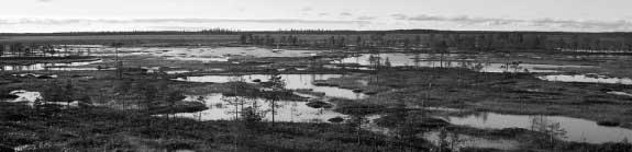 Maisemallisesti vaikuttavimmat ja erämaisimmat alueet ovat suon pohjoisosassa. Torni sijaitsee rimmikon länsireunalla, josta on hyvä näkyvyys laajalle avosuoalueelle.