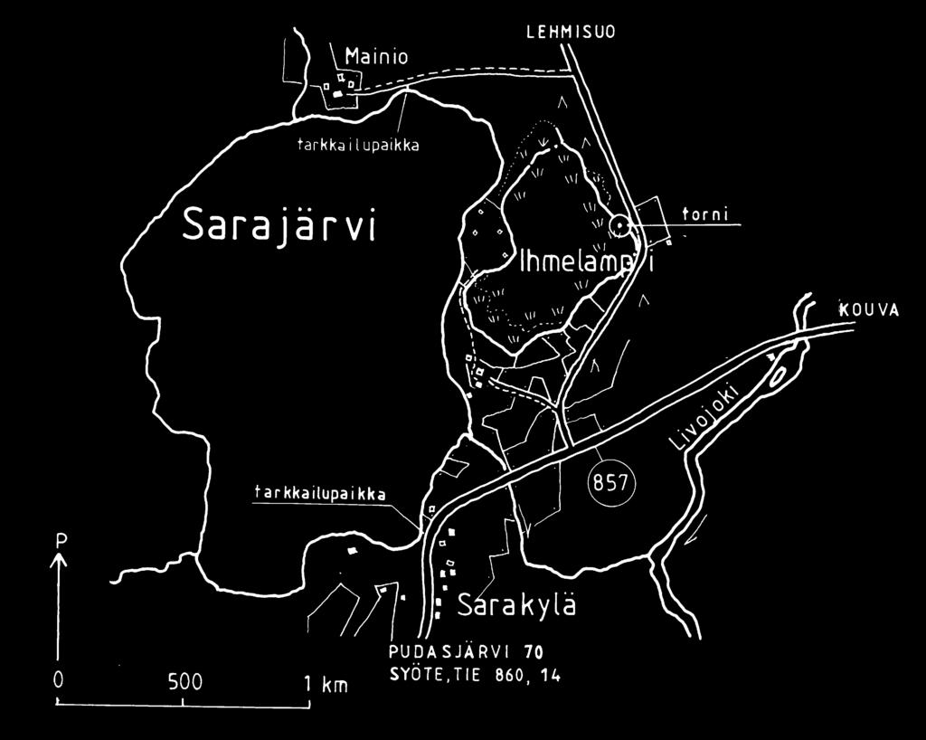 Sarajärvellä pesinee muutama pari Oulun läänissä uhanalaisia mustalintuja. Kahlaajista yleisin laji on liro. Laulujoutsenia levähtää keväisin ja syksyisin enimmillään toistasataa.