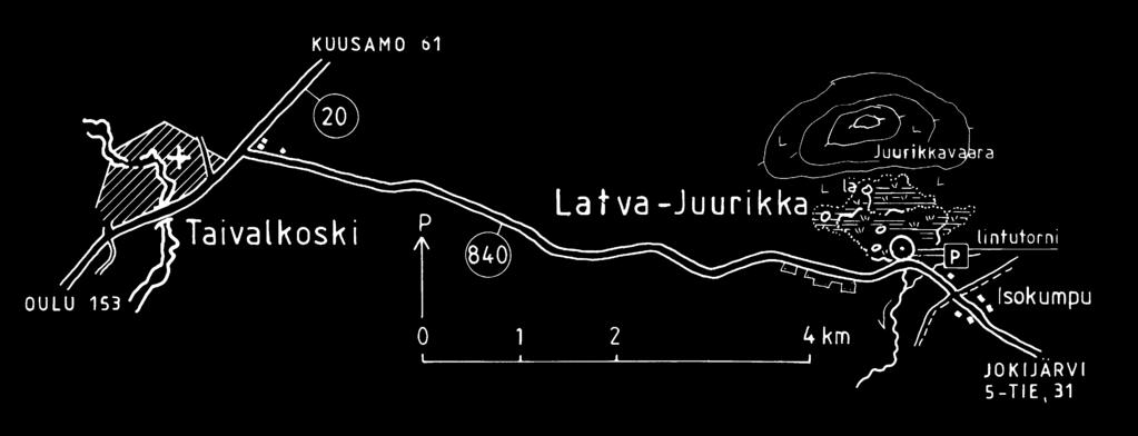 Latva-Juurikan pesimälinnusto käsittää ainakin 30 kosteikkolajia. Yleisimmät pesivät vesilinnut ovat tukkasotka, tavi ja telkkä.