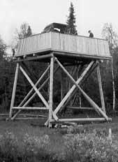 Täällä kulkija voi ihailla niin valkeaa kuin punaistakin yökönlehteä ja pikkusirkun laulu saattelee hänet kevätaamuina autolta tornille.