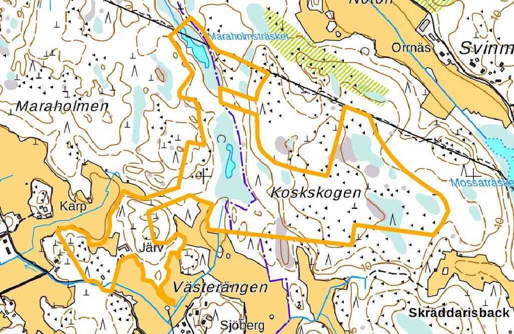 Koskskogen-Maraholmsträsket Pinta-ala: 44,4 ha Omistaja: Mustasaaren kunta (24,2 ha) ja Vaasan kaupunki (20,2 ha) Kaavatilanne: Bölen osa-yleiskaavassa ja Vaasan yleiskaavassa 2030 alue on