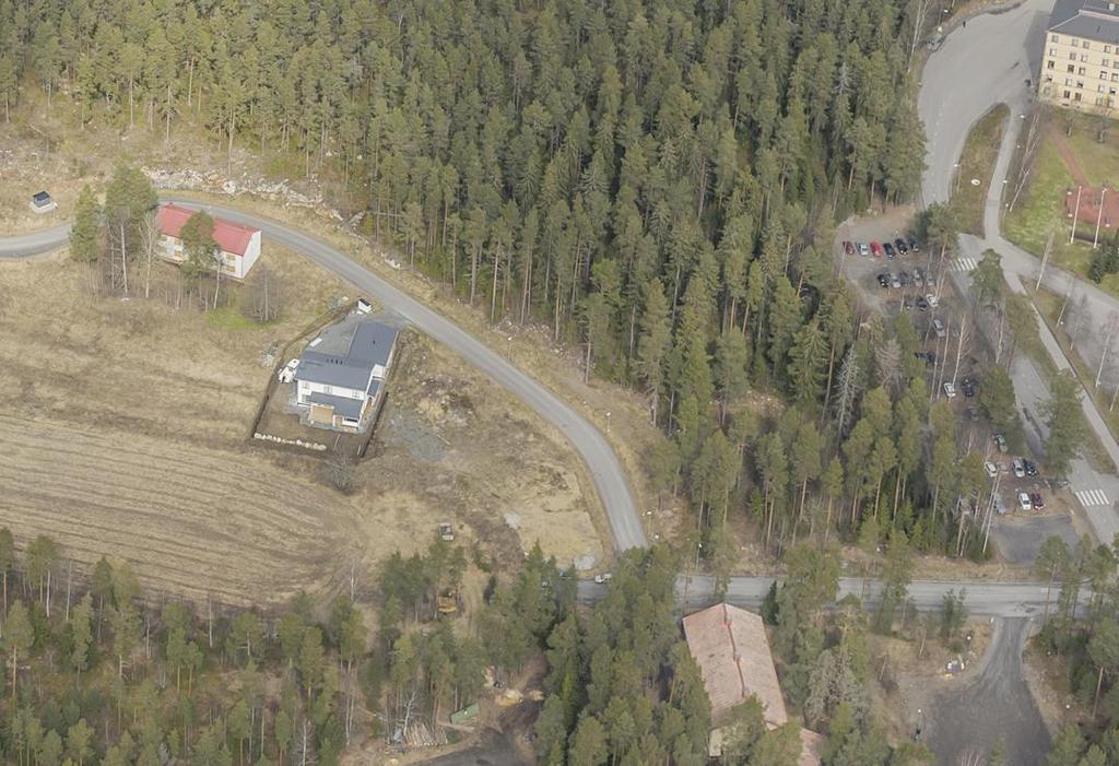 lohkareikkoista ja näillä alueilla on jäkälikköjä, muutoin lakialue on lähinnä kuivahkon puolukkatyypin kangasta sekä osittain kuivaa kanervatyypin kangasta.