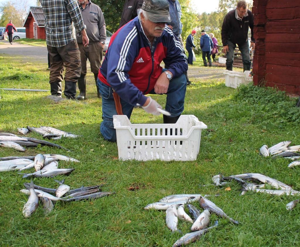 Kansallinen luettelointi perustuu Unescon yleissopimukseen aineettoman kulttuuriperinnön suojelemisesta, joka tuli Suomessa voimaan keväällä 2013.