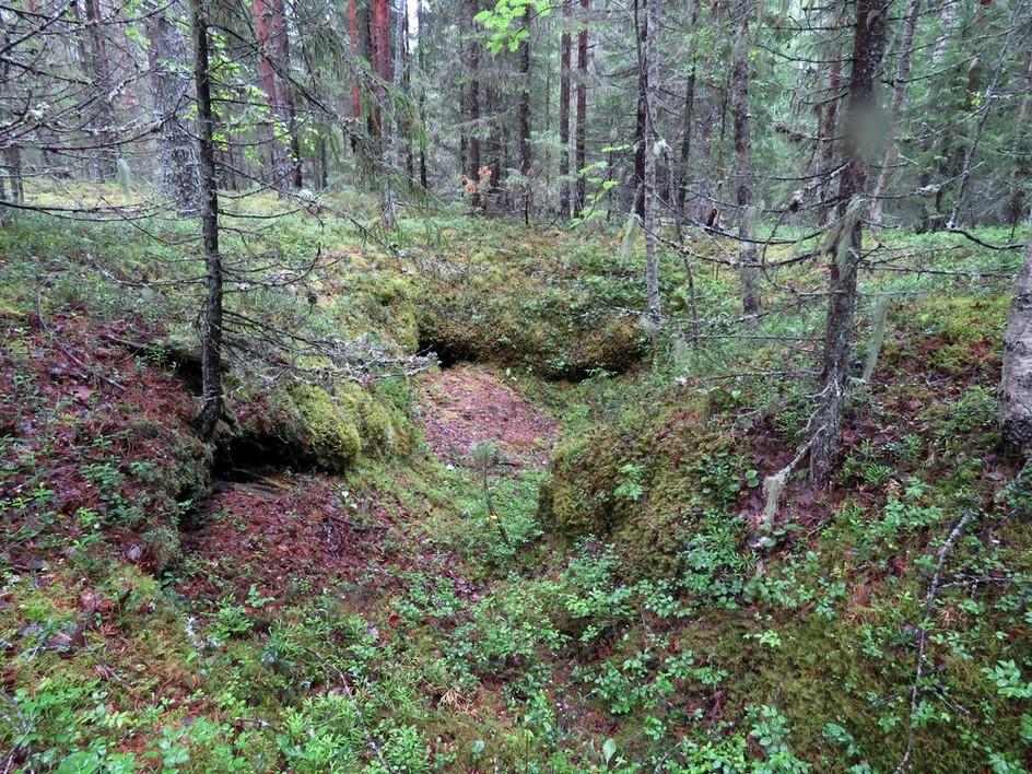 23 4. Pajuperänkangas N 2 Mj-rekisteri: Laji: Tyyppi: Tyypin tarkenne: Ajoitus yleinen: Ajoitustarkenne: Lukumäärä: Rauhoitusluokkaehdotus: Paikkatiedot: Karttanumero: Koordinaatit: Kohteen rajaus: