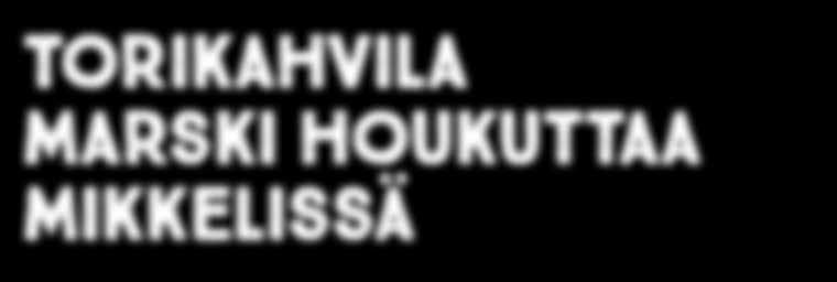 houkuttaa mikkelissä casseli tasokasta
