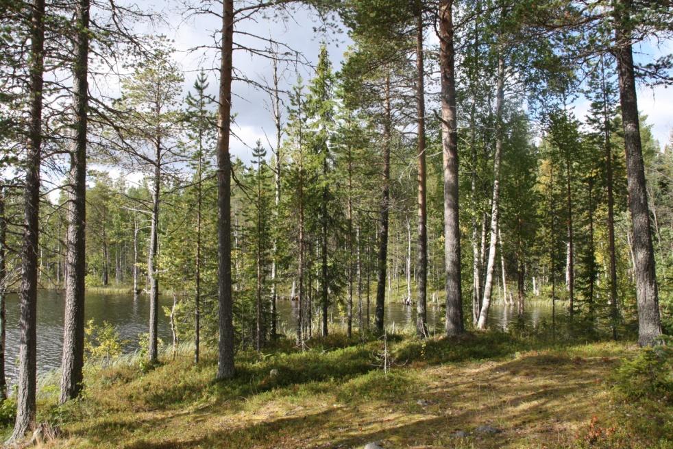 Alueen eteläpuolella kaivosalue ei rajaudu maisemakuvallisesti muusta ympäristöstä. Näkymiä kaivosalueelle avautuu vain muutamin paikoin ympäristöstä, mm.