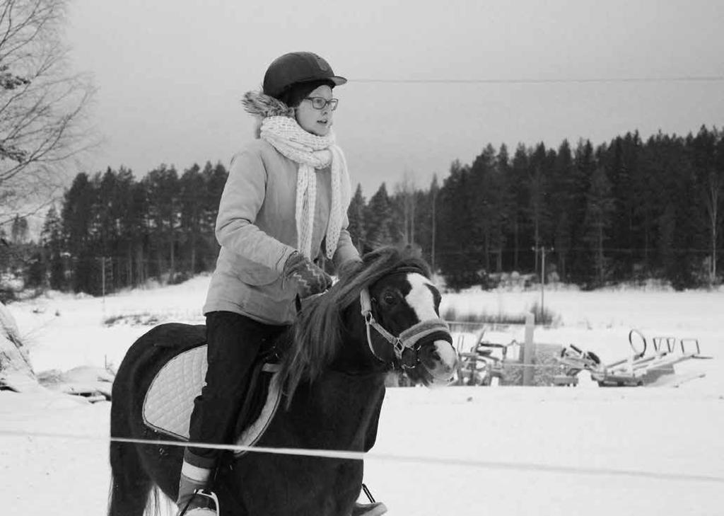 ton kanssa pyytämällä samoja opettajia pitämään valmistelemiaan aiheita. Osa kurssiviikonlopuista, esim. äitienpäivän viikonloppu, on toteutettu kahden päivän kurssina.