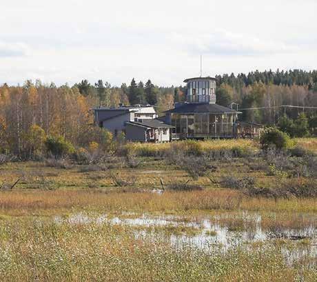 Hankintojen laskennan lähtötietoina on käytetty kaupungin tekemien keskitettyjen hankintapäätösten määrää (milj. ) 