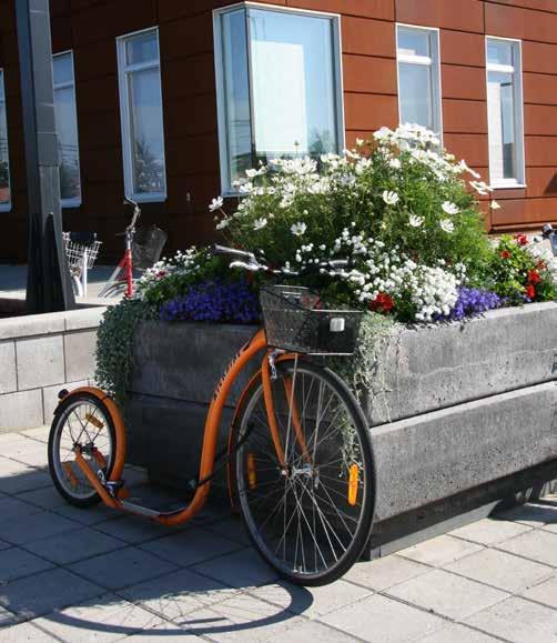 Oulun ympäristövuosi 2012 kokosi yhteen Oulussa tapahtuvaa ympäristötyötä ja toi esille ympäristöasioiden laaja-alaisuuden. Vuosi koostui useasta tapahtumasta, seminaarista ja tempauksesta.