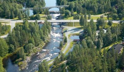 Torstai 6.7. 9.00 IIJOKISOUTAJAT JATKAVAT MATKAA SIIRANRANNASTA 10.00 KENTTÄRATAKIERROS METSÄKYLÄSSÄ, lähtee Kalle Päätalon torilta Oppaana Tuomo Horsma.