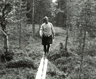 Tervehdys, taas on Taivalkoskella tiedossa hienot kyläjuhlat, kun Päätaloviikkoa vietetään 3. 9.7.2017.