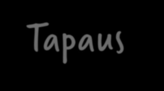 Tapaus 4