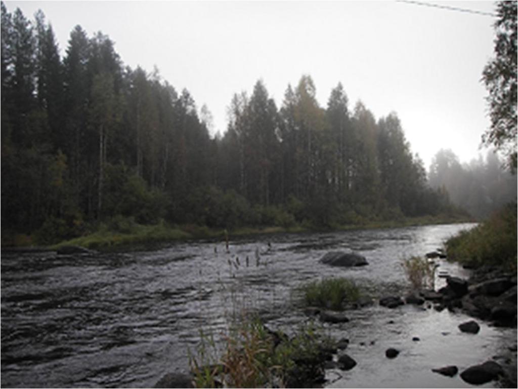 Kivijoen Tohokoski 29 Kuva 4.