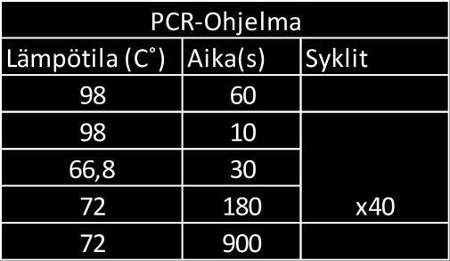 Insertin koon pitäisi kaiken kaikkiaan olla noin 1400 bp.
