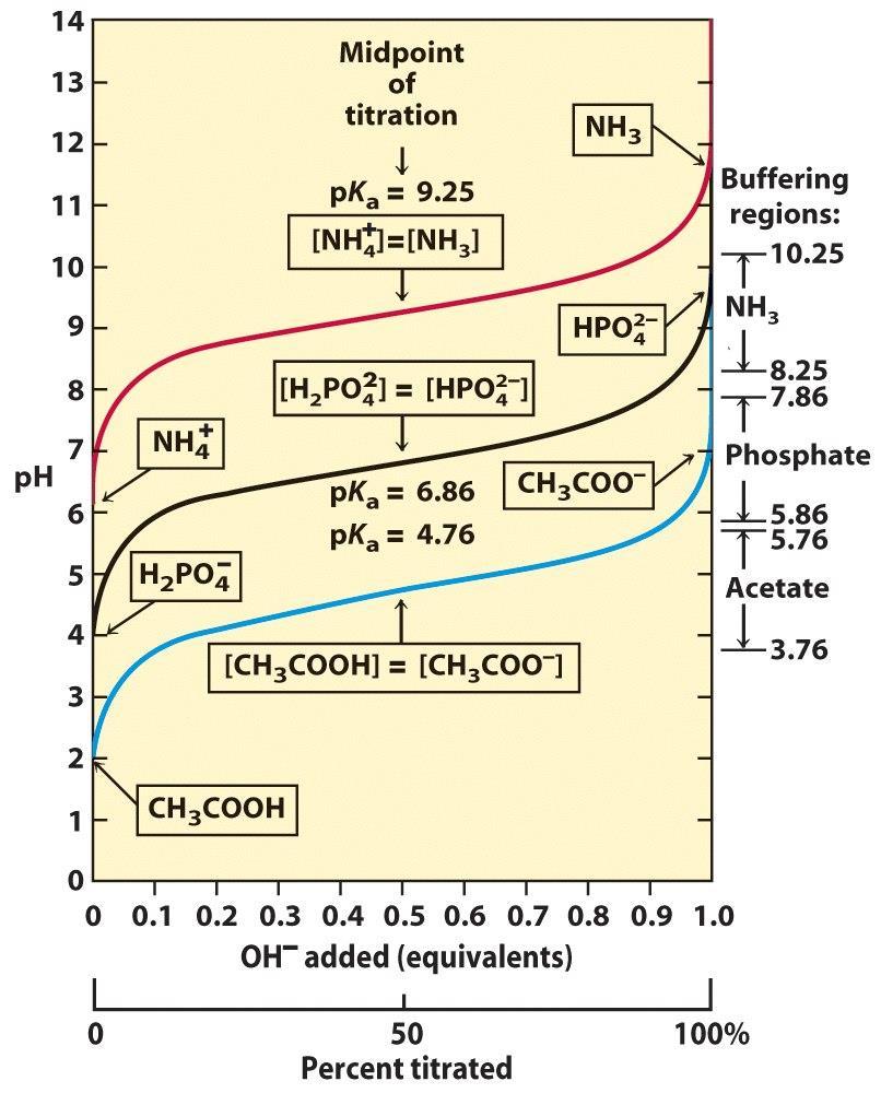 Ionisoituvat ryhmät vastustavat liuoksen ph-muutoksia: ph-puskurit Puskurikapasiteetti : d[ HA] d( ph ) [HA] = happolisäys Titrauskäyrän kulmakerroin