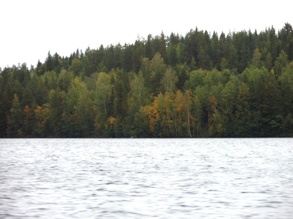 Korjattu 13.12.