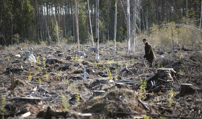 Biotuotetehtaan vaikutukset metsänomistajiin 9 Havukuitupuun menekki kasvaa koko Suomessa