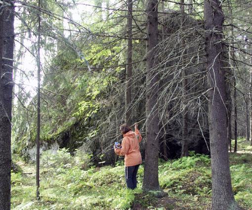 Perusteet tähän tulevat paitsi kiven nimityksestä myös sen keskeisestä sijainnista