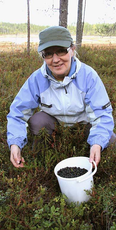 Luonnontuotteet työllistävät maaseudulla poimijoita, ensiostajia, majoitus- ja kuljetusyrittäjiä, elintarvikekauppiaita sekä raakaaineita jalostavia ja