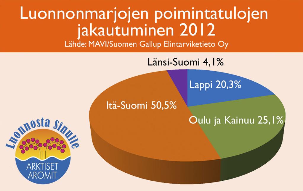 metsissä ja