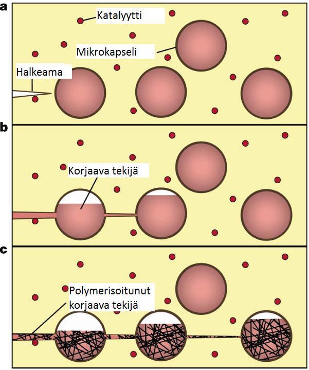 17 Kuva 1. Itsekorjautuvan materiaalin toimintaperiaate [25] Kokonaisuudessaan älykkäiden monitoimirakenteiden kehitystyö on vielä alkuvaiheessa.