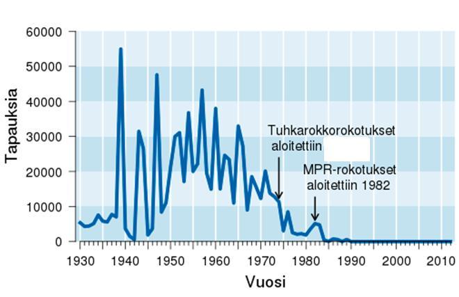 Tuhkarokon häviäminen Suomesta Endeemiset eli kotoperäiset tuhkarokkotapaukset hävitettiin Suomesta jo 1990-luvulla erinomaisesti toteutetun rokotusohjelman ja korkean rokotuskattavuuden avulla Kuva: