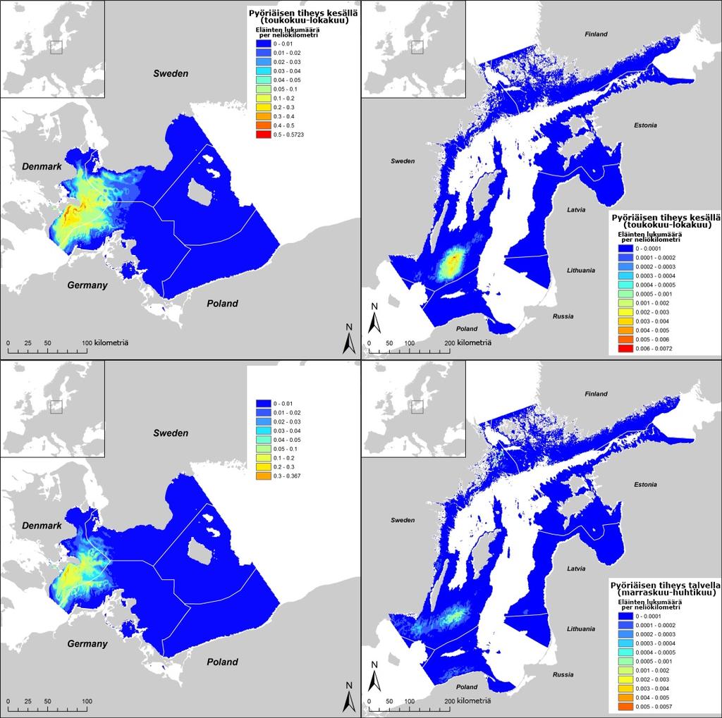 SAMBAH-projekti tuotti myös pyöriäisen esiintymistiheyskarttoja kesällä (touko-lokakuussa) ja talvella (marras-huhtikuussa).