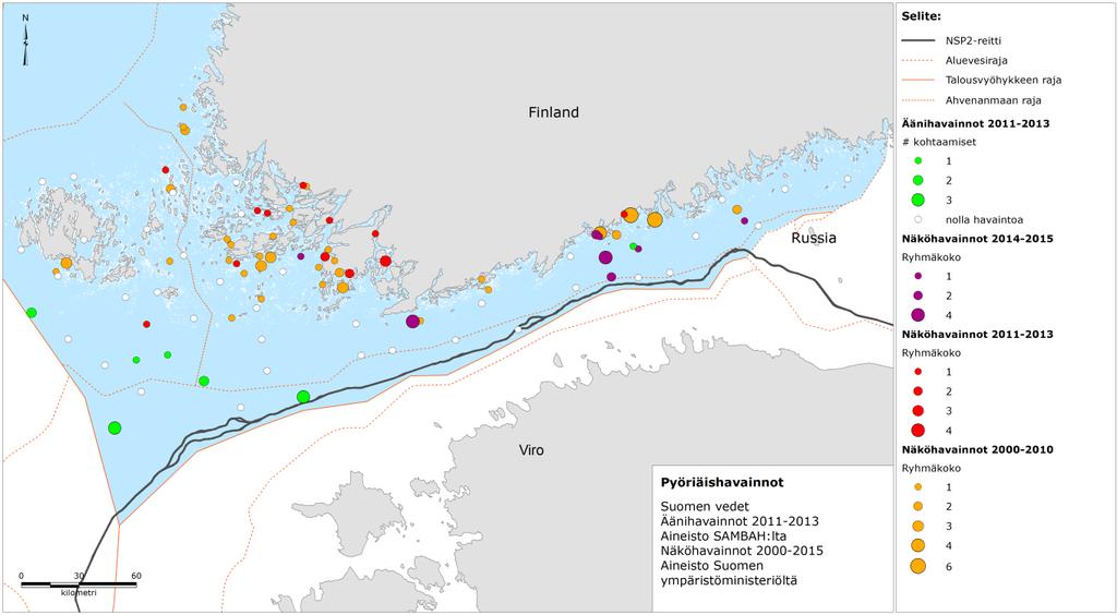 alueella arvellaan johtuvan suuremmasta väestötiheydestä ja suuremmasta määrästä vapaa-ajan aluksia eikä siitä, että alueella olisi paikallinen pyöriäiskeskittymä.