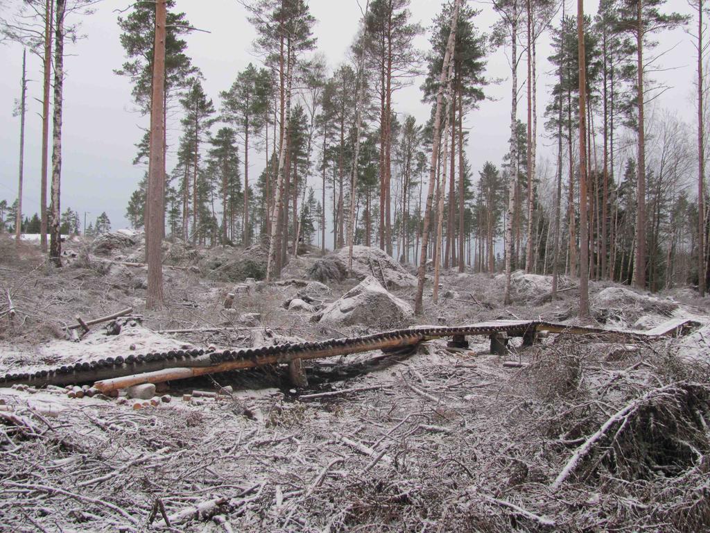 Kuva 5: Kohteilla on syytä luopua metsänhakkuista, muualla kuin teiden, tonttien ja sähkölinjojen lähialueella. Kuvassa Vaasan kaupungin tekemä hakkuu Bölenmetsän virkistysalueella.