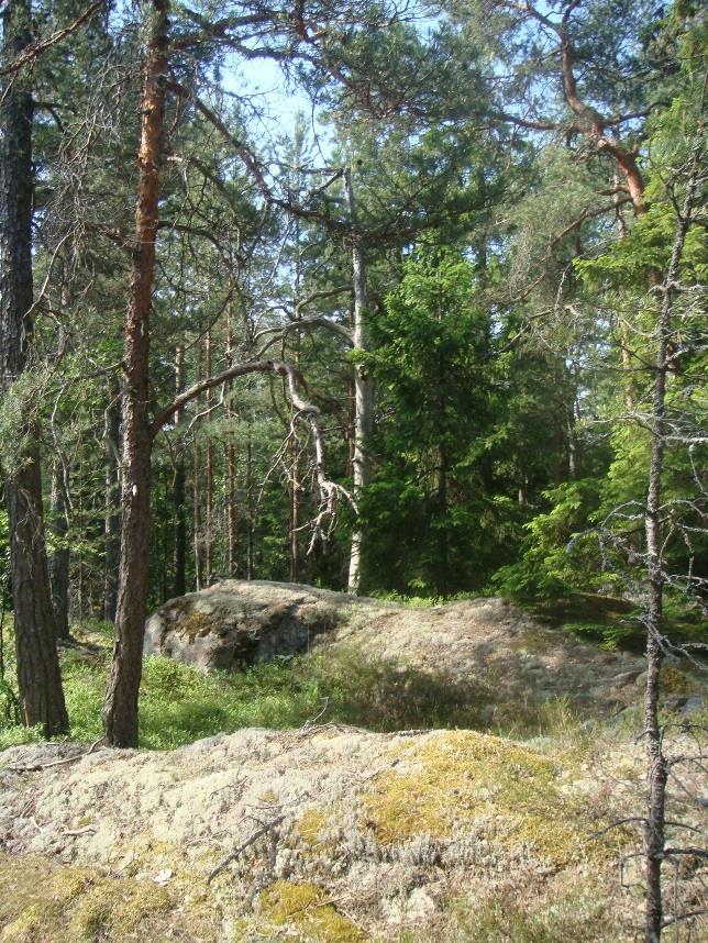 Lännessä ekologinen yhteys rajautuu Porvoonväylän pohjoispuolella yhdyskuntateknisen huollon alueeseen ja sen eteläpuolella kaupunkipientalovaltaiseen alueeseen, Länsisalmen