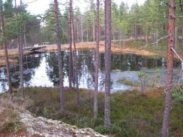 metsälampi Jouppilanvuori, Seinäjoki 25.11.