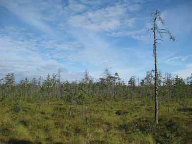 kpl 307,5 ha 57 kpl 823,8