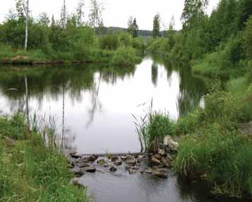 230 kpl) käynnissä hankkeita 17 kpl (v. 2013) Toimintamalli on muuttunut vuonna 2013, toteuttaja valitaan avoimessa hankehaussa 25.11.