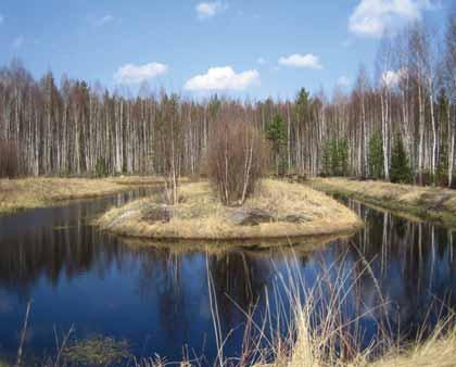 suunnittelu ja toteutus Seinäjoen Pajuluoman